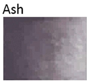 Thumbnail 22